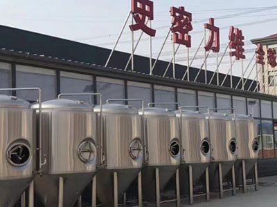 武侯精酿啤酒设备厂—如何判断精酿啤酒设备的密封件需要更换？